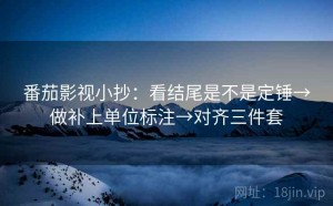 番茄影视小抄：看结尾是不是定锤→做补上单位标注→对齐三件套